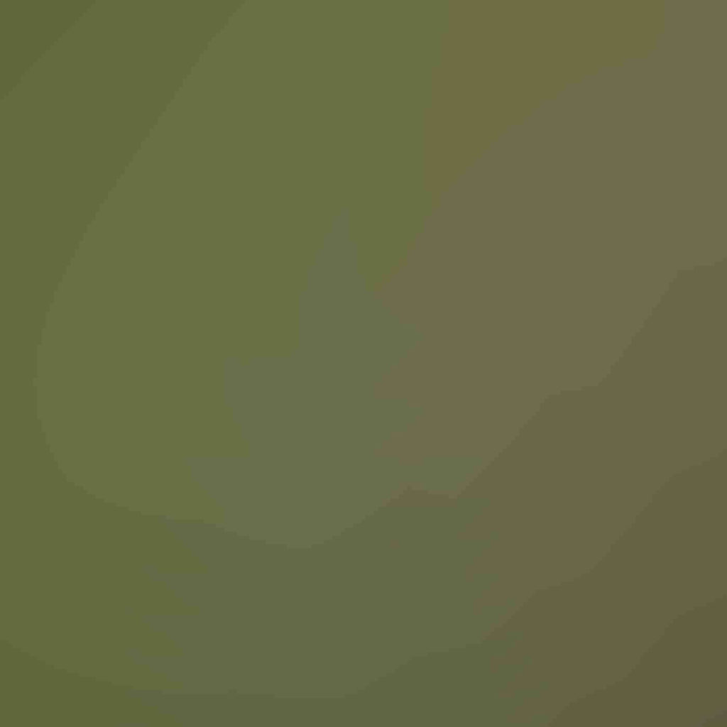Portfolio-11